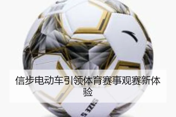 信步电动车引领体育赛事观赛新体验