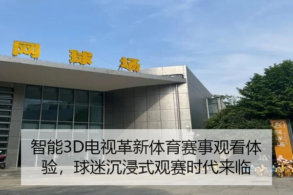 智能3D电视革新体育赛事观看体验，球迷沉浸式观赛时代来临