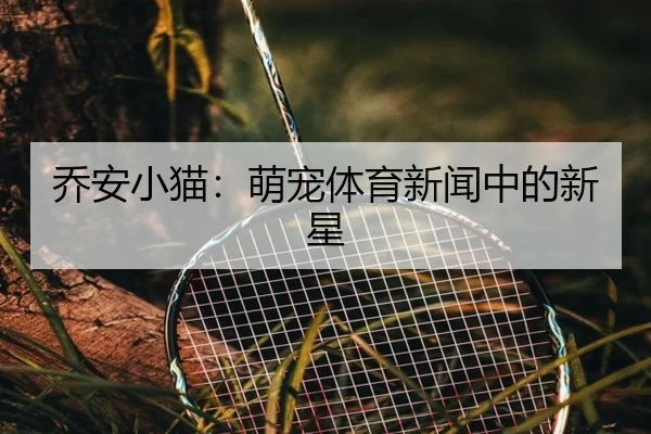 乔安小猫：萌宠体育新闻中的新星