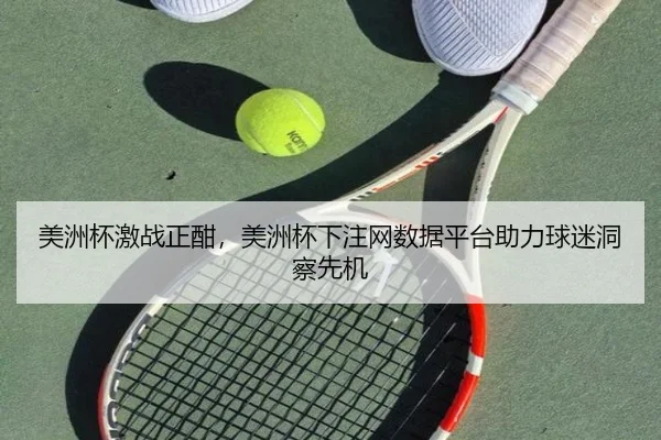 美洲杯激战正酣，美洲杯下注网数据平台助力球迷洞察先机